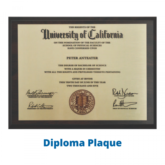 Master Package & Life Premium Membership - Image 4