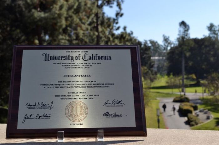 Master’s Life Membership with Free Diploma Plaque (Copy) - Image 3